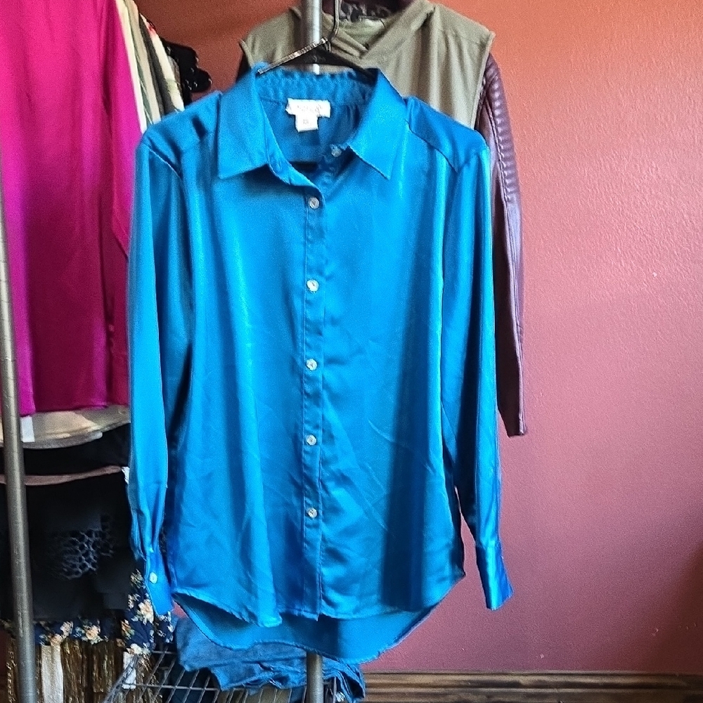 Rachel Zoe Vibrant Blue Button-Down Shirt